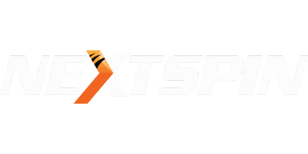 NS গেমিং স্টুডিও